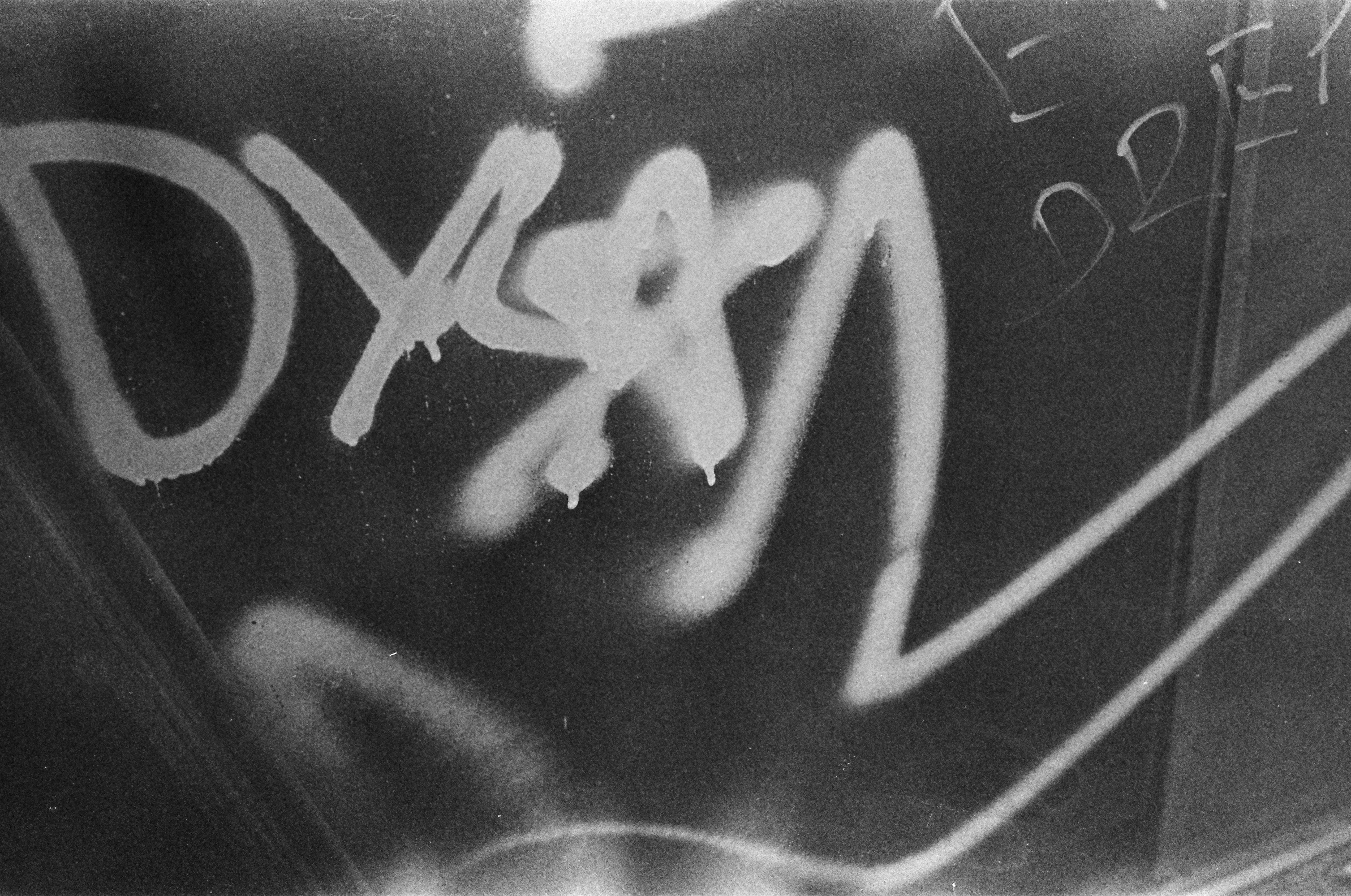 dylan permuy photograph